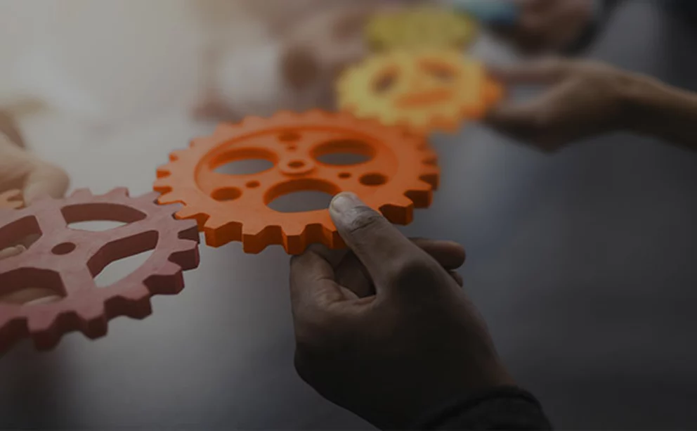 SAP & Quality Management SAP & Quality Management