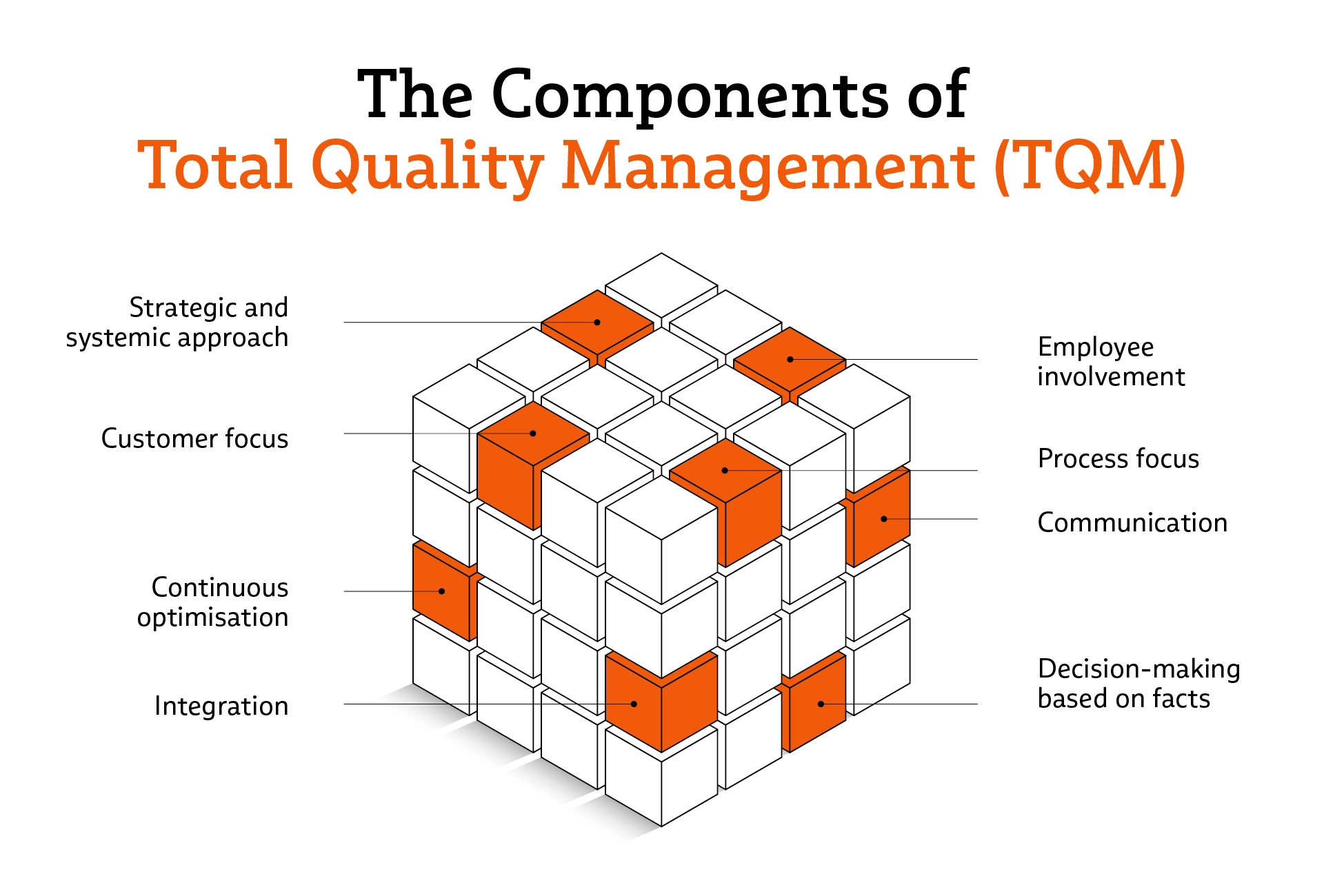 Infographic on Total Quality Management (TQM)