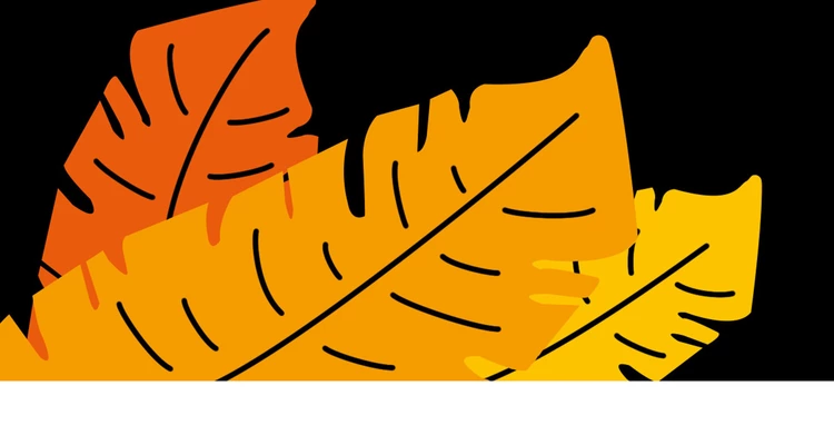 IATF 16949 - Finding your way through the IATF jungle Graphical representation of sheets